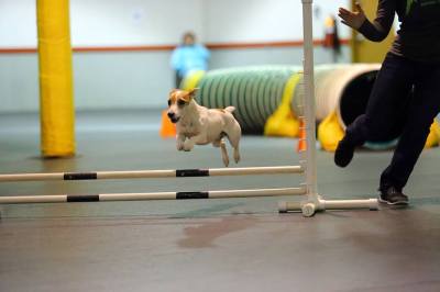 12299240_822797841481_5378946682503904295_n