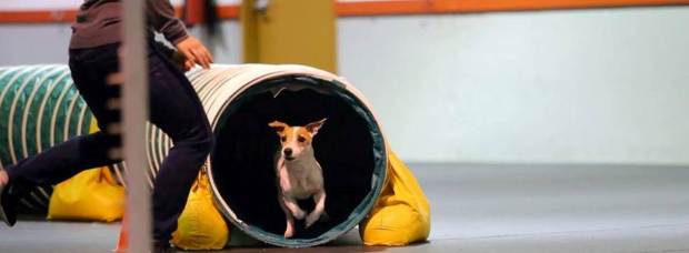 12347658_822797771621_173878564480145592_n