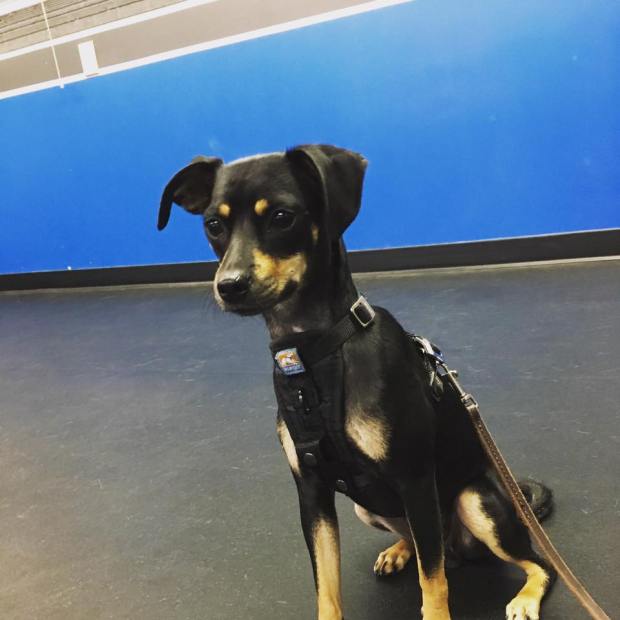 14064061_869924629021_2537511441033557805_n